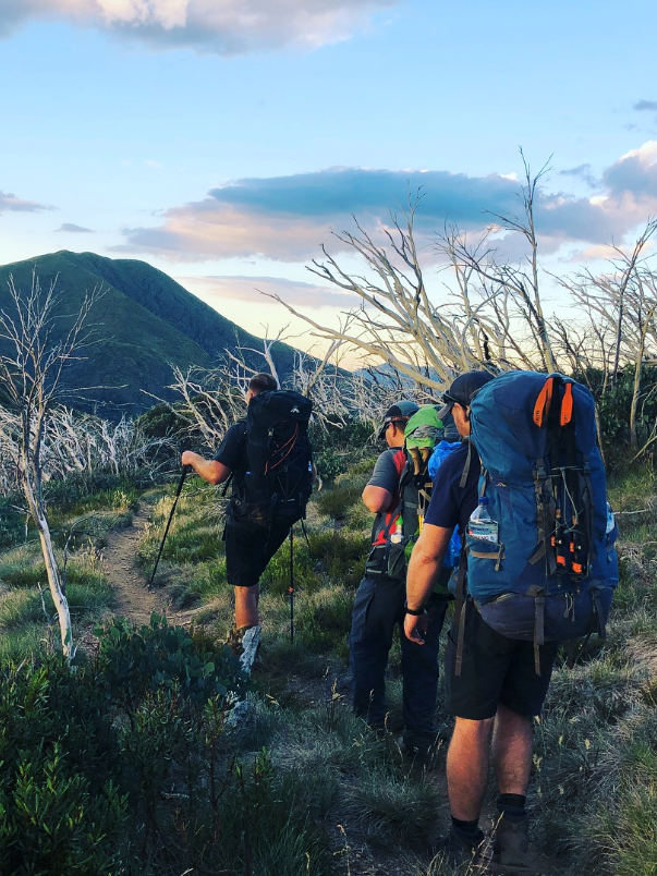 Essential guide to trekking the Victorian high country: What you need to know before you go